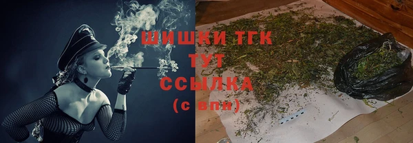 амф Елизово