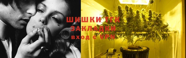 амф Елизово