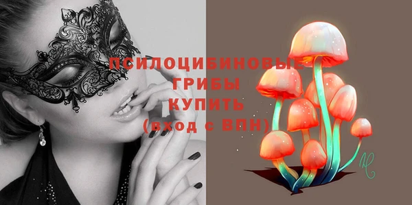мдма Ельня