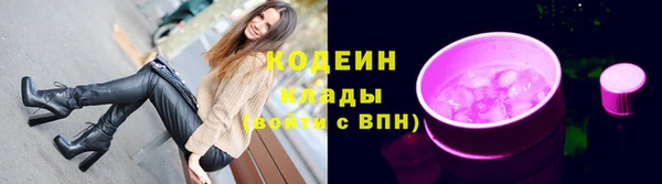 амф Елизово