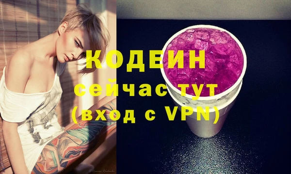 амф Елизово