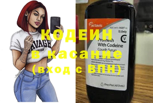 амф Елизово