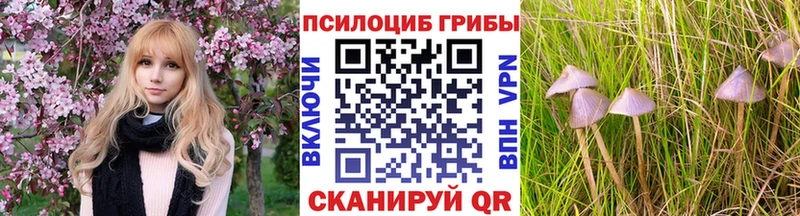 МЕГА сайт  наркошоп  Каменск-Уральский  Псилоцибиновые грибы MAGIC MUSHROOMS 