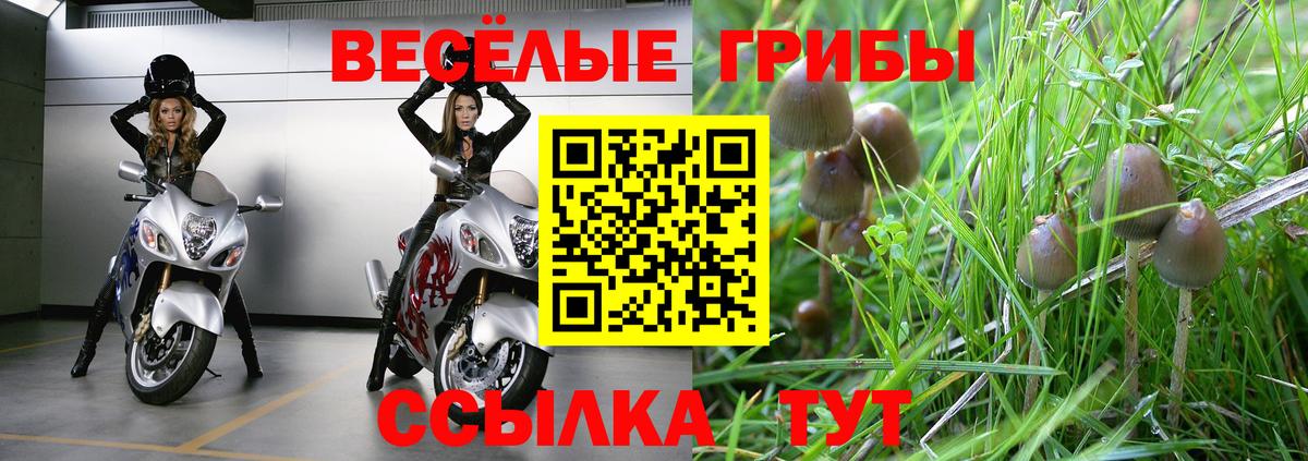 Псилоцибиновые грибы ЛСД Каменск-Уральский