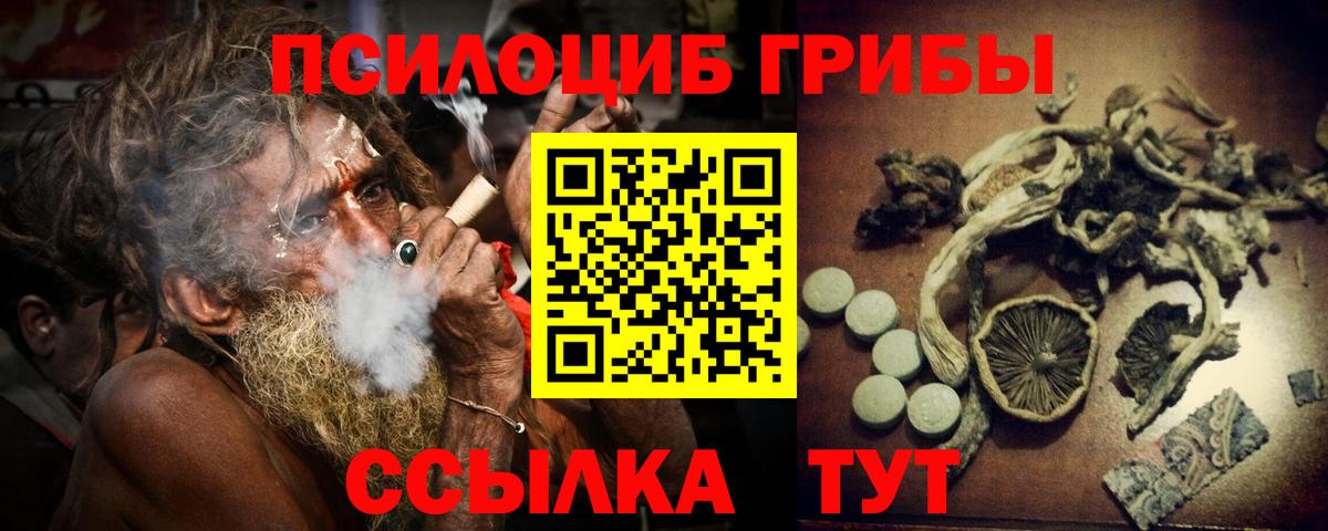 Псилоцибиновые грибы GOLDEN TEACHER  Галлюциногенные грибы Psilocybe  Каменск-Уральский  Вход с VPN 